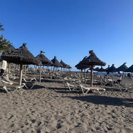 Americas Tropical Nights