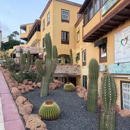 شقة Americas Tropical Nights